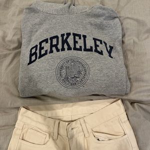 GREY BERKELEY COLLEGE CHAMPION HOODIE
